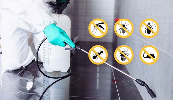 Pest control & Fumigation services":